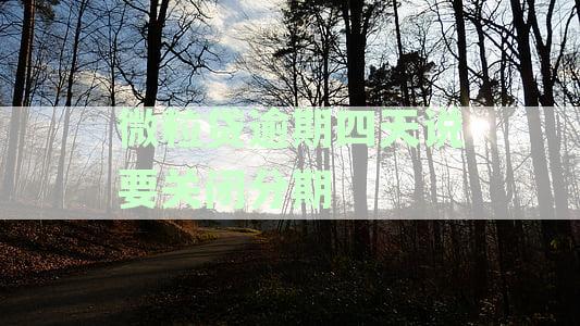 微粒贷逾期四天说要关闭分期怎么办？如何处理这个问题？