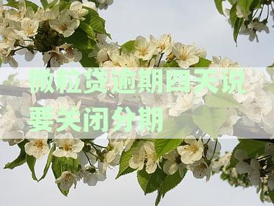 微粒贷逾期七天关闭分期还款渠道真的吗？四天后要求全额还款