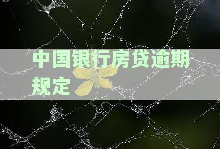 中国银行房贷逾期规定是什么：开始时间、处理方式与法律程序