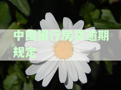 中国银行房贷逾期后的法律程序：逾期时间、后果及应对措全解析