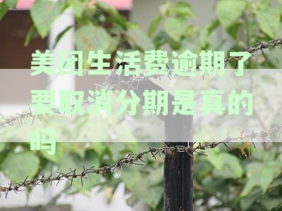 美团生活费逾期取消分期真实性与安全性，逾期多久会取消分期，如何办理？