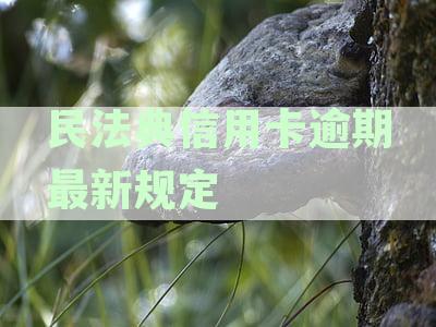 民法典信用卡逾期规定文件：2020年新规与相关说明