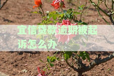 宜信贷款逾期被起诉的全流程解析：征信受损、应对措及解决方法