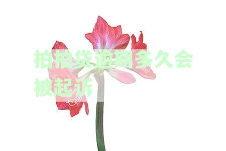 拍拍贷逾期还款期限及后果全解析：是否会被起诉？真的会上门催收？