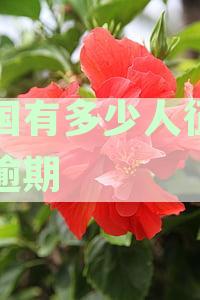 中国征信系统逾期问题：8亿人受影响，如何解决和改善信用状况？