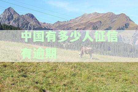 全国失信人数大揭秘：中国信用卡逾期现象频发