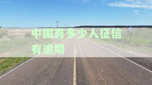 全国信用卡逾期人数：探究中国个人负债状况的新视角