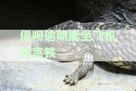 支付宝借呗逾期能坐高铁吗？对以后买机票高铁票有影响吗？