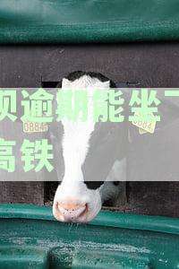 借呗逾期还款对高铁乘车产生的影响及解决办法全面解析