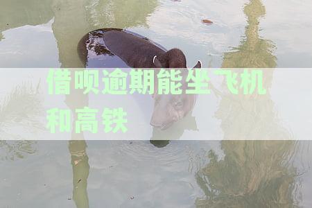 借呗逾期能坐飞机和高铁