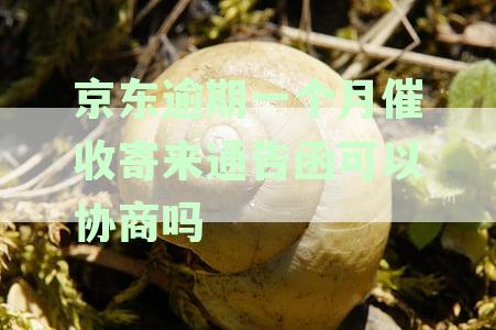 关于京东逾期一个月催收的通告函，是否可以协商以及处理方式