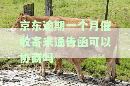 京东金条逾期一个月后的协商还款通告函处理方式及时间