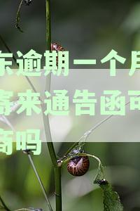 京东逾期8000一个月，发的通告函如何处理？