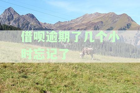 借呗逾期了几个小时忘记了会怎么样：影响、征信和后果全解析