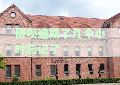 借呗逾期几小时的影响及应对措：详细解答与建议