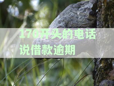 关于170开头电话借款逾期催收的真相，你了解多少？