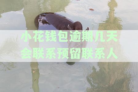 小花钱包逾期一天后会不会联系紧急联系人？还有哪些可能的后果和解决方法？