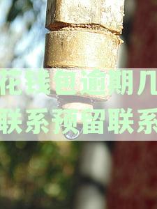 小花钱包逾期还款的影响及如何避免征信受损的全方位解答