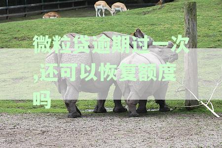 微粒贷逾期一次后，是否能恢复额度？安全还款方法解析