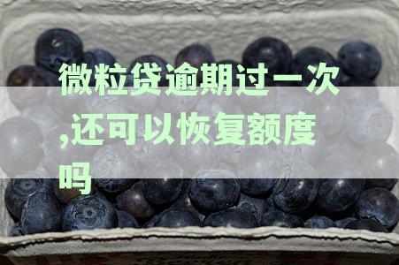 微粒贷逾期一次，恢复额度及安全措：怎么办？