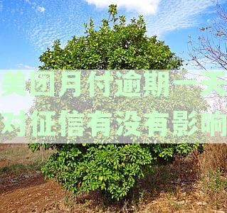 美团月付逾期一天对征信有没有影响