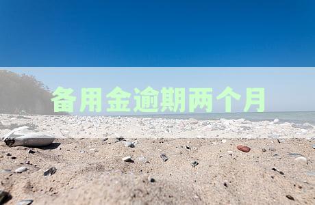 逾期两个月还款的备用金，多久后才能再次使用？
