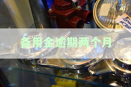 支付宝备用金逾期两个月的利息计算方式