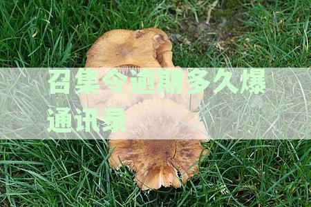 召集令逾期多久打电话给家人合适？