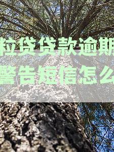 微粒贷逾期后的短信威胁：如何应对、后果和解决办法全面解析