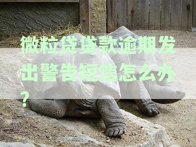 微粒贷逾期收到短信到户地处理、起诉、备案通告和转法务，是真的吗？