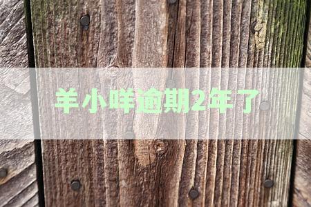 羊小咩逾期4年未还款1600元：原因、解决方法及可能的影响