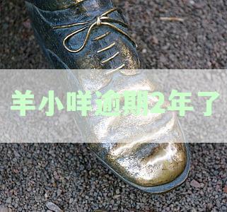 羊小咩逾期会起诉吗：逾期后果、会上征信吗、逾期多久会爆电话？