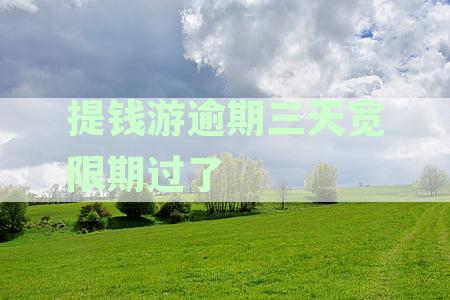 提钱游逾期三天宽限期过了