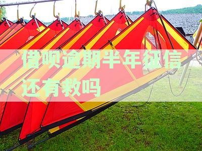 逾期半年还清一年多，征信状况是否受到影响？