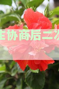 民生协商后二次逾期