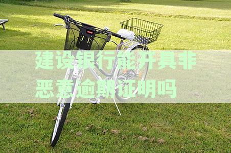 '建设银行非恶意逾期信用卡还款证明本'如何撰写-提供模板与样本