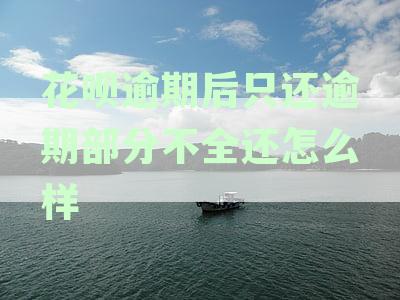 花呗逾期后只还逾期部分不全还怎么样