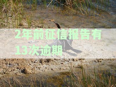 2年前征信报告有13次逾期记录：影响、消除及解决办法