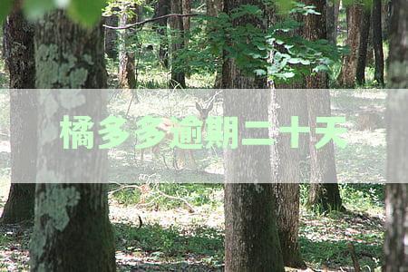 桔多多逾期十天：处理后果与应对策略