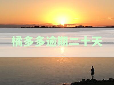 橘多多逾期二十天