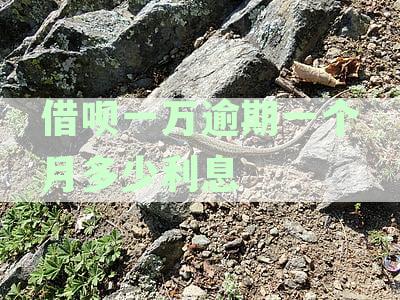 借呗逾期一个月还款利息计算方法与合法罚息规定