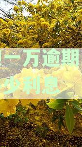借呗逾期一万五后果严重，逾期多久会被上诉？是否会上门催收？