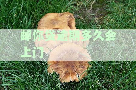 邮你贷逾期多久会上门