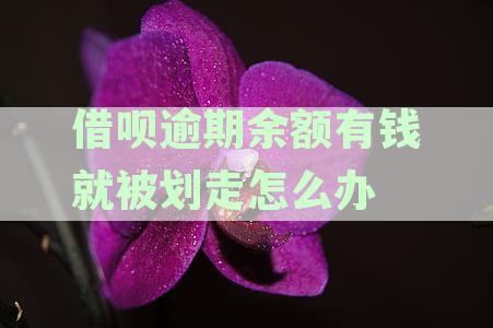 借呗逾期后，余额被划走？如何解决及预防类似问题出现？