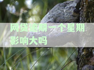 网贷逾期一个星期影响大吗：征信会受到影响吗？