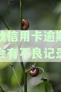 邮政信用卡逾期两天是否会对信用记录产生不良影响？应如何解决？