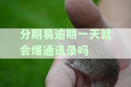 分期易逾期通讯录泄露风险与解决策略：了解详细情况避免信用受损