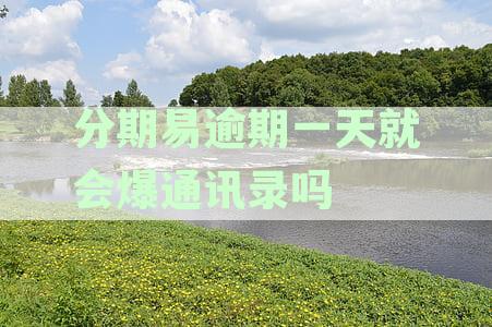 逾期一天的分期还款后果：影响、怎样避免与解决方法