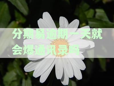 分期易逾期后频繁的通讯录催收信息困扰我，有解决方案吗？