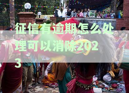 征信有逾期怎么处理可以消除2023年的记录：2023年逾期消除方法与处理建议